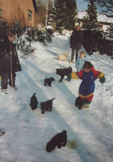 Spaziergang im Schnee