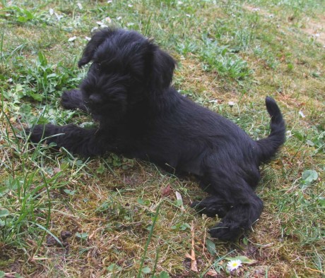 1052011ella
