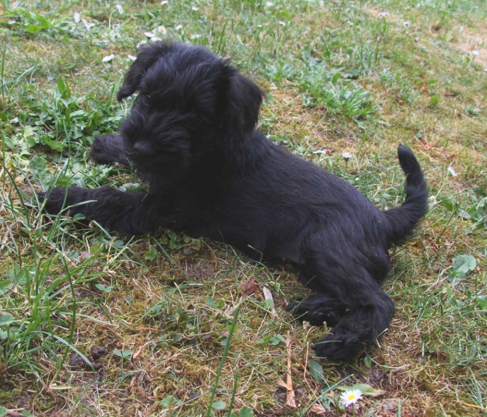 1052011ella