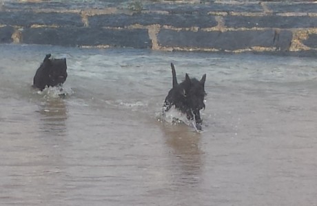 Gwenda und Yuki im Meer