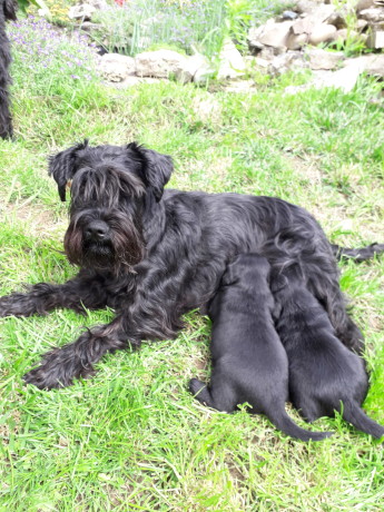 Mama mit KIndern