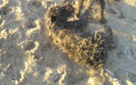 Spielen in Sand nach dem Baden