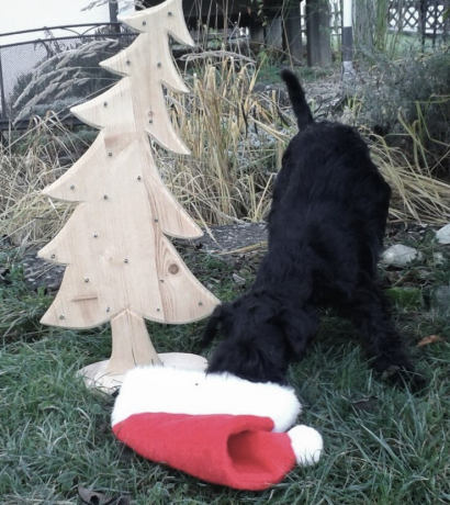 Weihnachen_2016