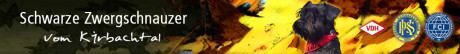 cropped-header