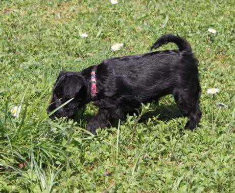 ginny2