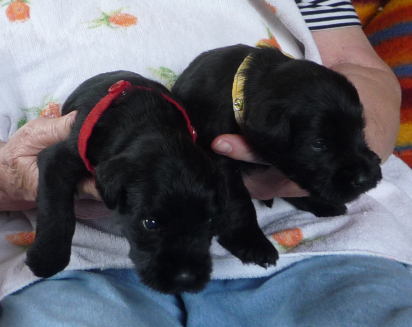 Ilka und Iffi